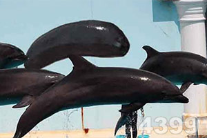 BOB博鱼·体育官网入口