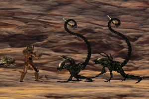 江南体育下载下载手机版