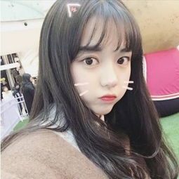 乐鱼官方app下载