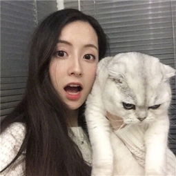 AG棋牌官方网站