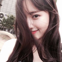 香港2023正版免费资料下载手机版