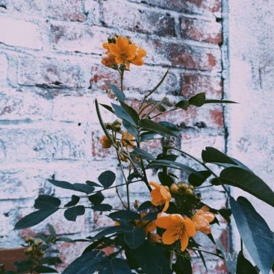 江南足球app手机app下载